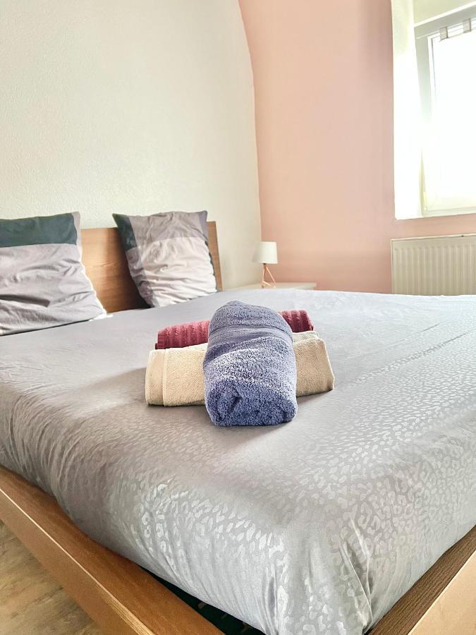 Duplex Atypique Proche Gare & Centre Ville Mulhouse Ngoại thất bức ảnh
